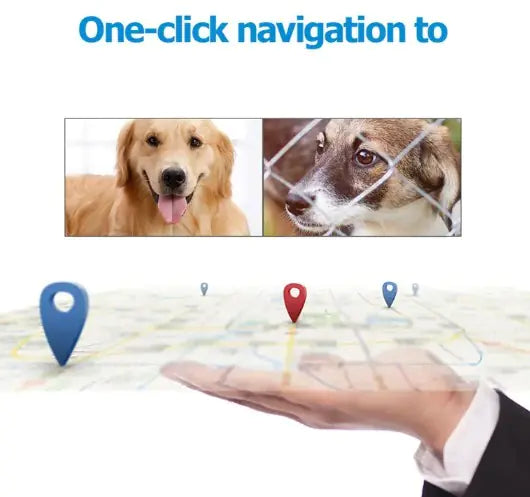 GPS Pet Positioning Collar