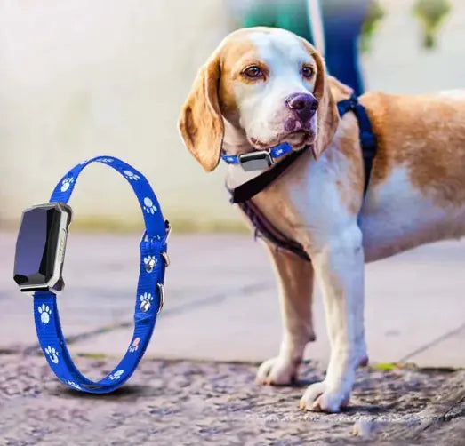 GPS Pet Positioning Collar