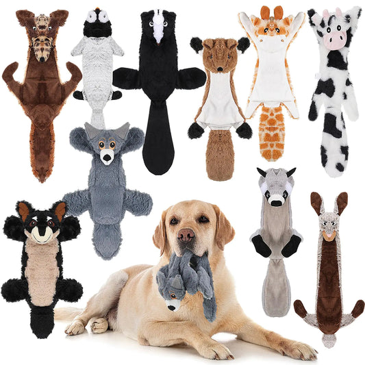 10 Pcs Dog Squeaky Toys