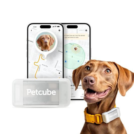 Petcube GPS Tracker for Dogs
