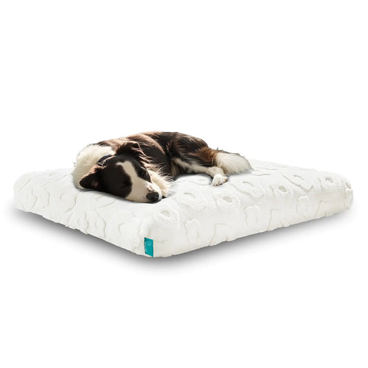 Large Dog Bed for Large Sized Dog